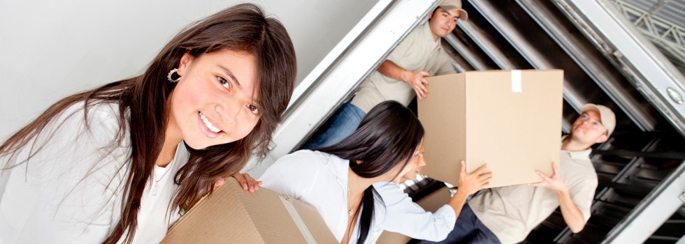 Professional Removalists Horsfield Bay